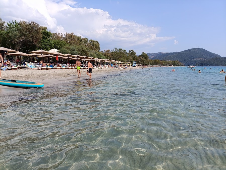 Λιμνοθάλασσα Δρεπάνου