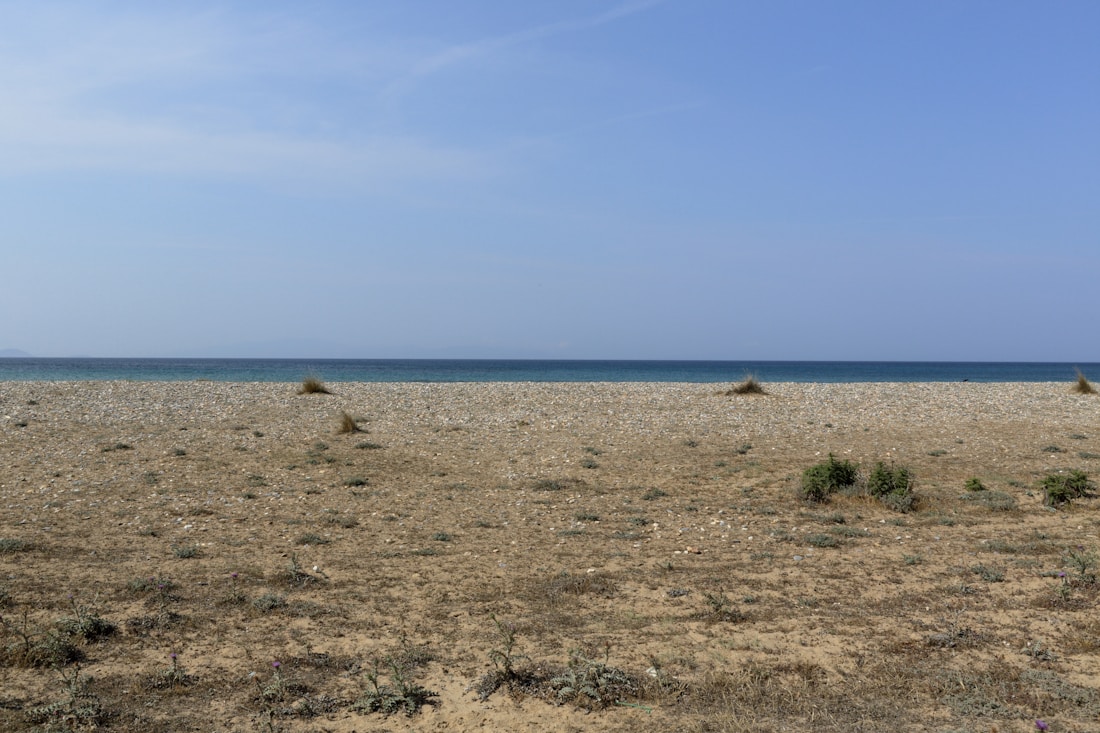 Παραλία Πλάκας