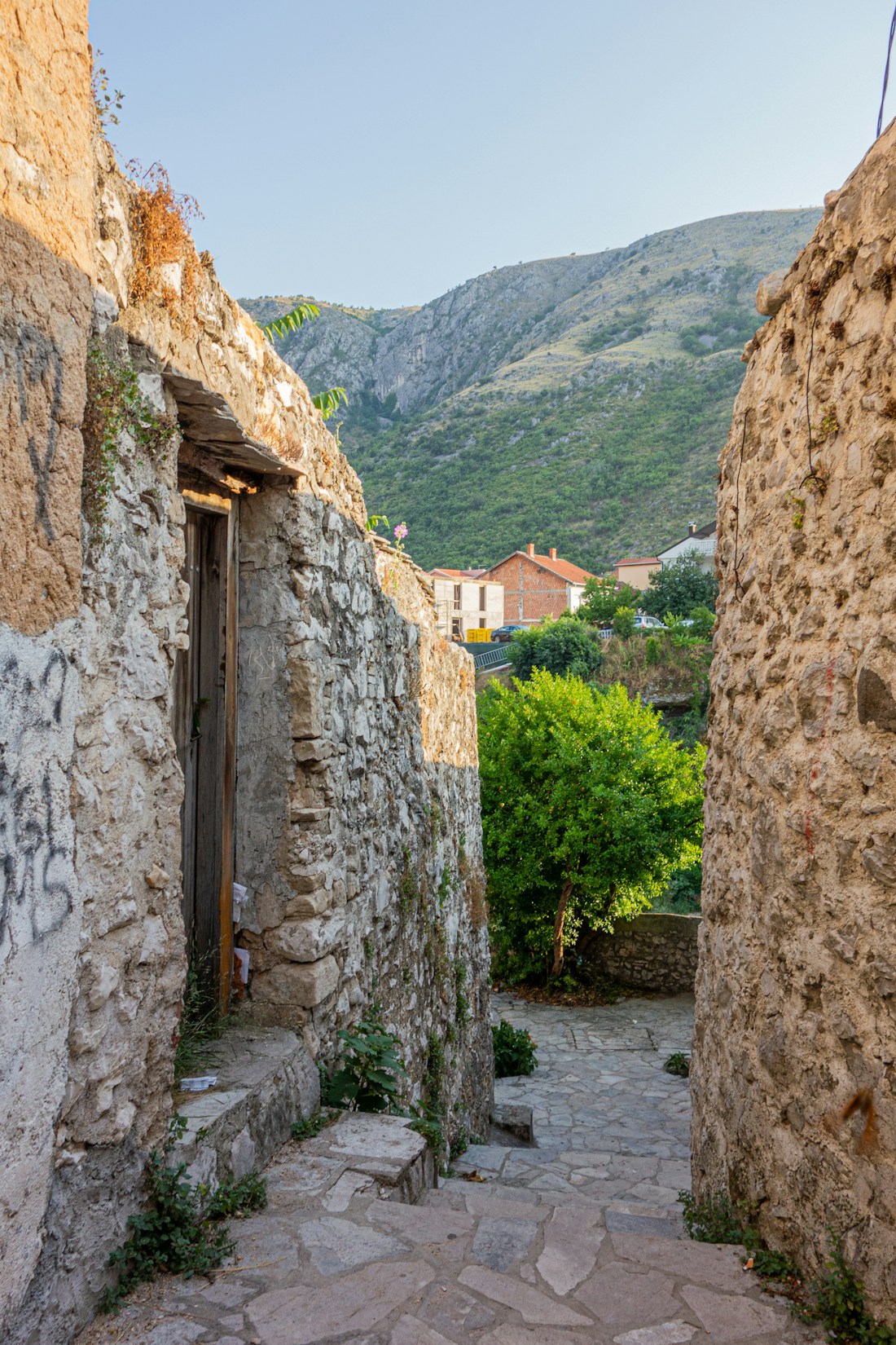 Απείρανθος